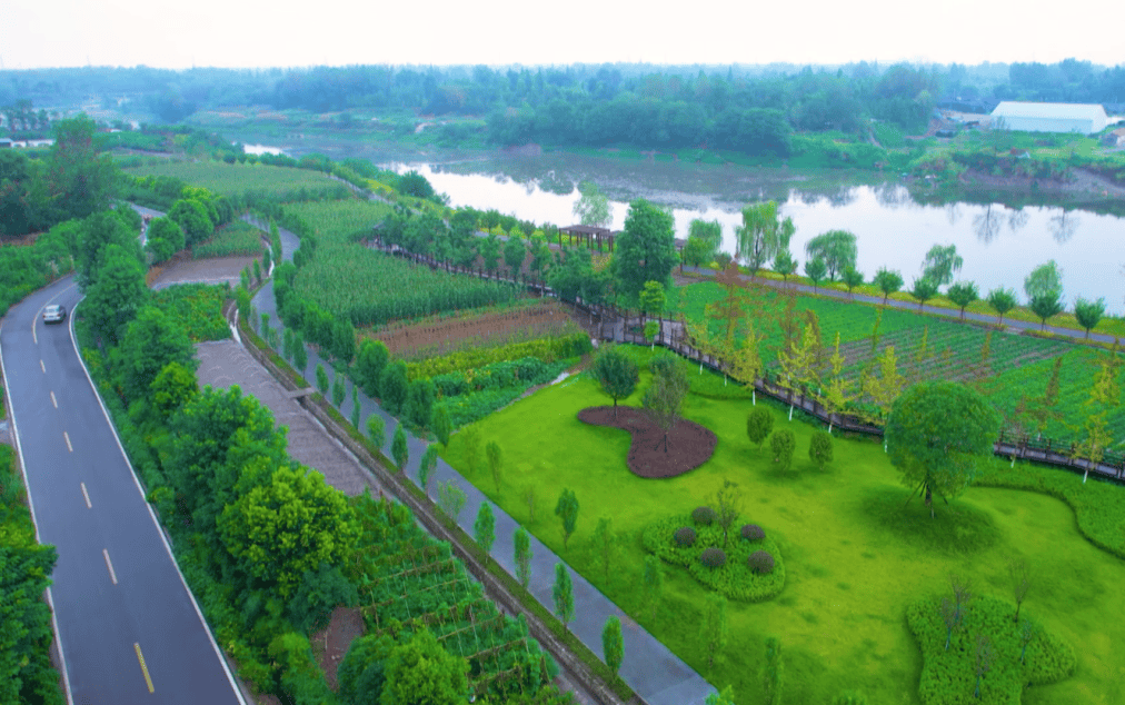 州！超多活动+地道年味承包你的新春快乐A