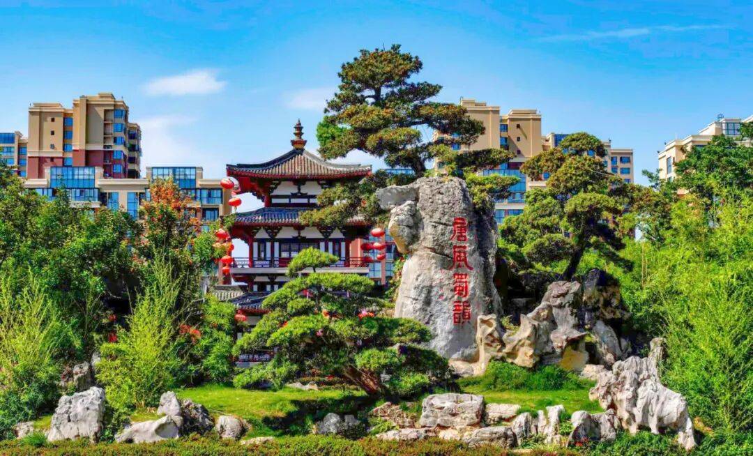 州！超多活动+地道年味承包你的新春快乐AG真人app过年去哪儿玩？马上到崇(图4)